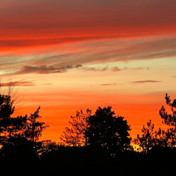 Meet your Posher, Judy - Picture 9 of 12